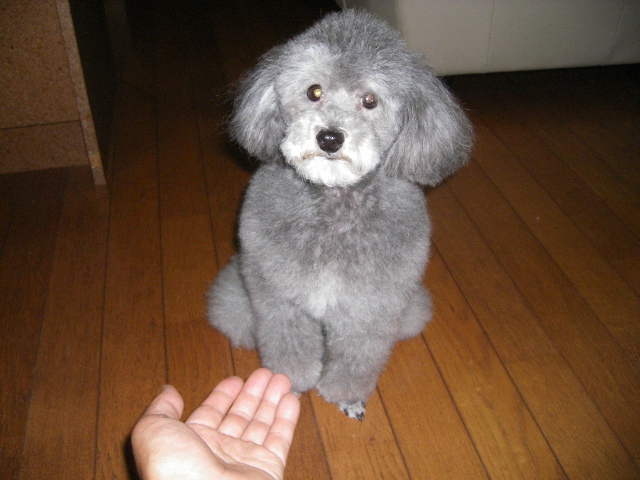 f0000330_19415358.jpg