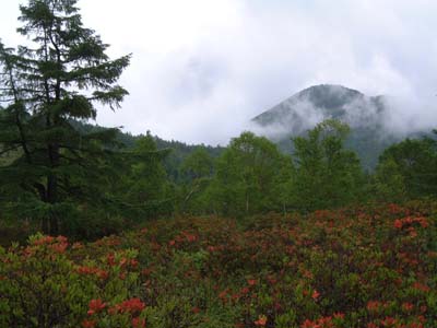 b0045357_83893.jpg