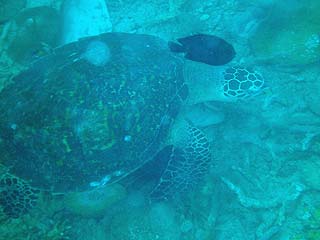 d0056263_2228367.jpg