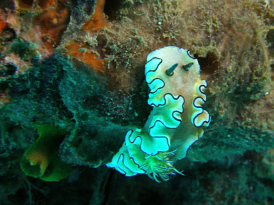 d0056263_22291474.jpg