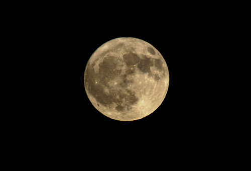 d0054076_18362419.jpg