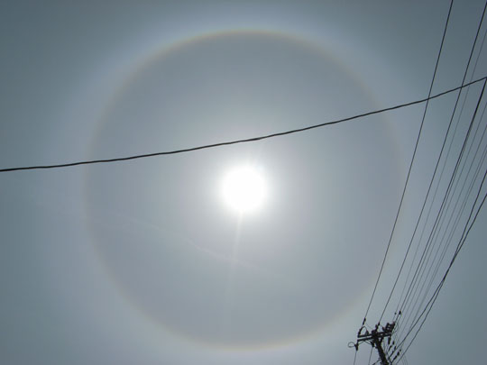 隠されたフォース_e0082981_20433863.jpg