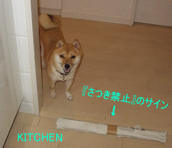 f0004309_9304854.jpg