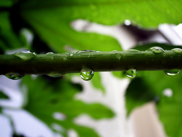 雨の日だから（４）_c0071611_16321151.jpg