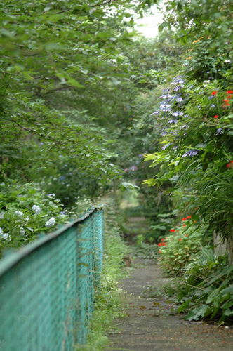 f0012718_1019317.jpg