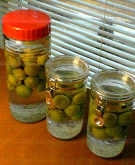 e0011321_21162122.jpg