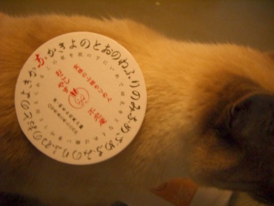 早起き_c0006826_7325328.jpg