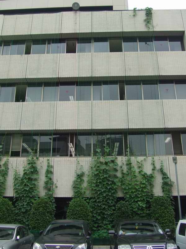 d0004728_8051.jpg