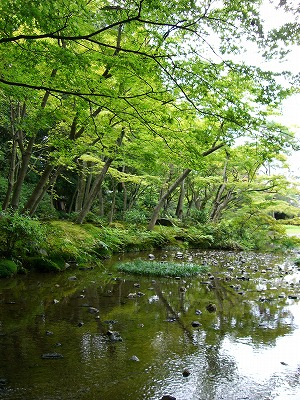 e0015828_1203235.jpg
