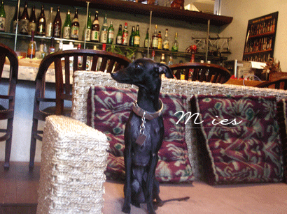b0040868_23294125.gif