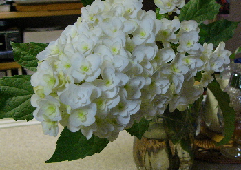 c0040472_112857.jpg