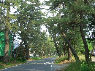 東海道中膝砕毛　１２日目（御油宿～池鯉鮒宿）_f0011490_1123640.jpg