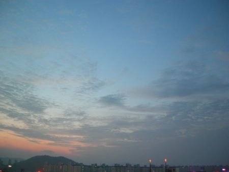 f0048205_84336.jpg