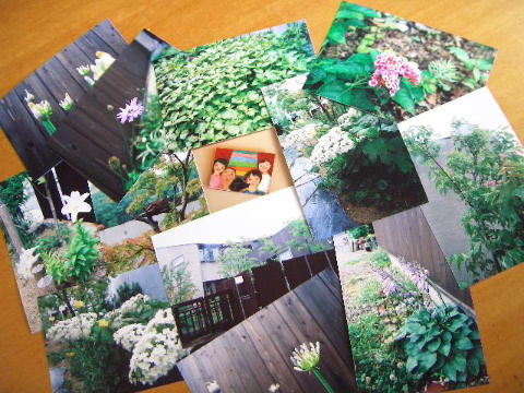 c0056707_7333034.jpg