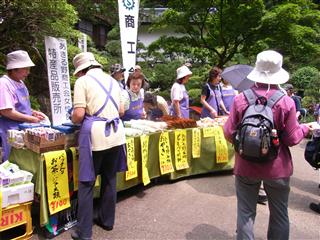 花を植えた人～南沢あじさい山を歩く_c0039428_22154100.jpg