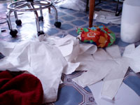 ＊ずうっと。＊　　2006,6,22_a0030038_11385868.jpg