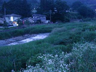 a0048040_19385552.jpg