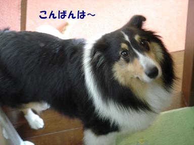 f0046854_21552353.jpg