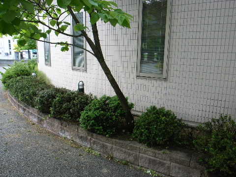 耳鼻科医の職人修行_e0084756_17171379.jpg