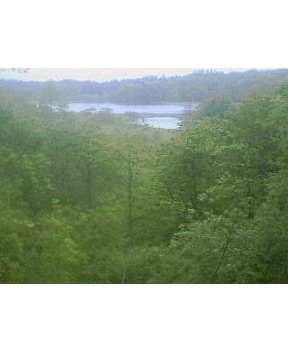 e0083559_2028617.jpg