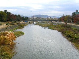 a0016177_110245.jpg