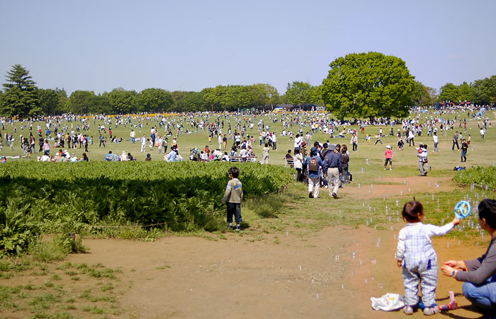 ｢風景晴景｣昭和記念公園・シャボン玉と遊ぶ_c0009981_3534018.jpg