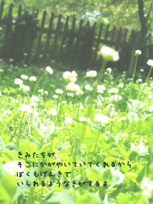 *胸が痛い・・・(涙)_d0034988_20201140.gif