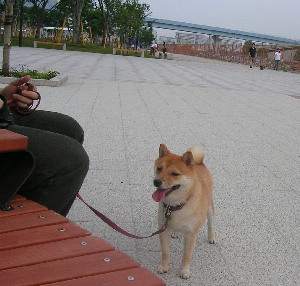 f0004309_1682216.jpg