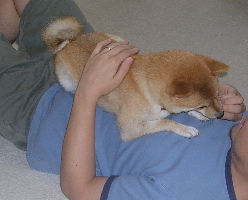 f0004309_20321278.jpg
