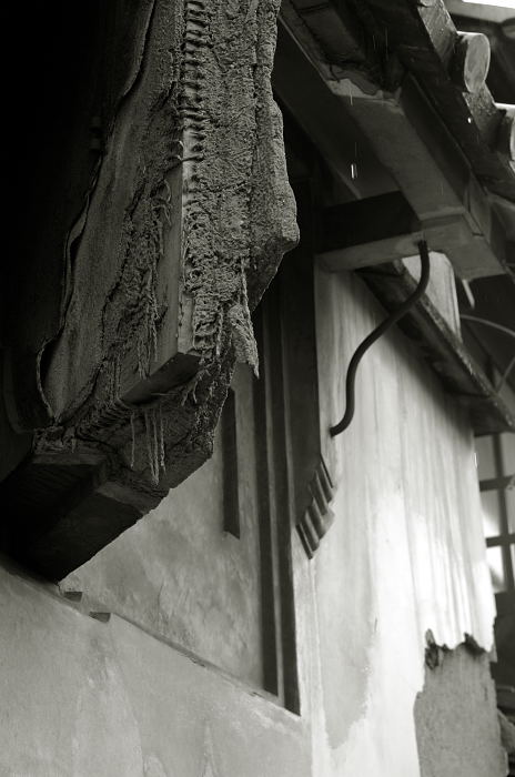 雨の日ぶらり_f0032011_22531916.jpg