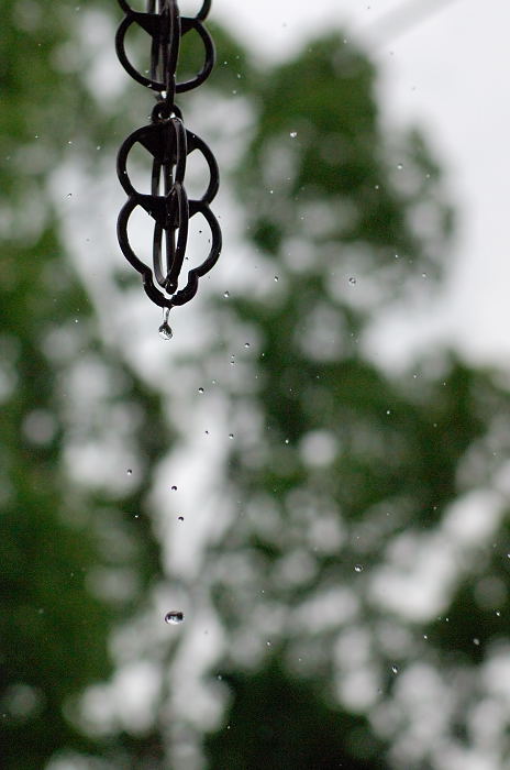 雨の日ぶらり_f0032011_22533446.jpg