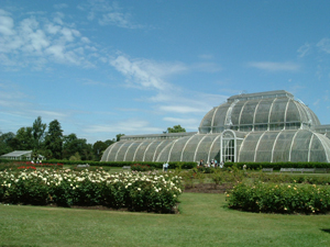 d0006422_51041.jpg