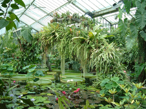 d0006422_52261.jpg