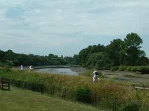 d0006422_54286.jpg