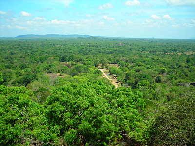 d0023725_10222935.jpg