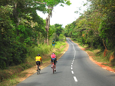 d0023725_10231299.jpg