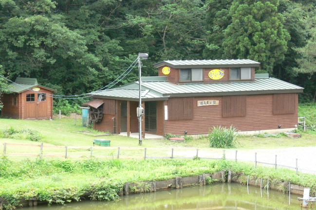 山にて 2_b0065730_22542686.jpg