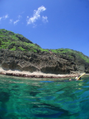 06.6.25 親友、海に潜る。_b0100730_15304084.jpg