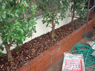 ガーデンチップと植栽剪定_f0031037_16432781.jpg