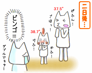 c0064647_184482.gif