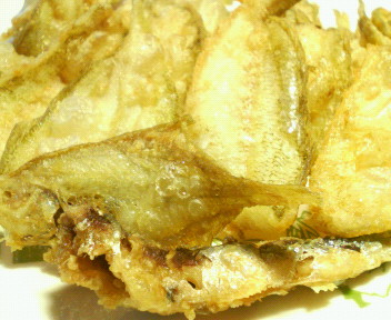 f0088647_20541759.jpg