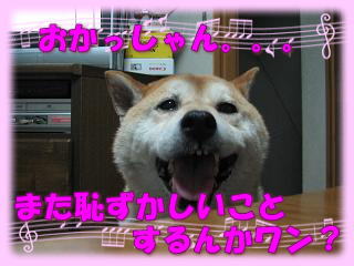 ドリーカップ♪_c0049950_1716380.jpg