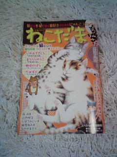 猫漫画雑誌ラッシュ！_c0023353_140295.jpg