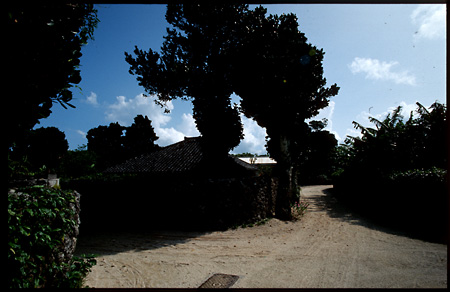 b0087456_23533572.jpg