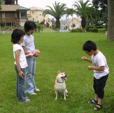 2006年6月25日龍平君姉弟と遊ぶ_f0060461_1528491.jpg