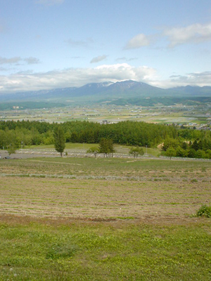 e0080165_1341538.jpg
