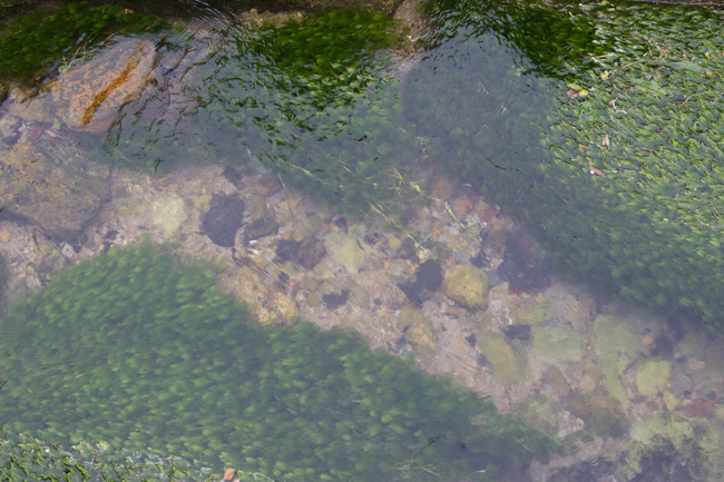 c0054876_654174.jpg