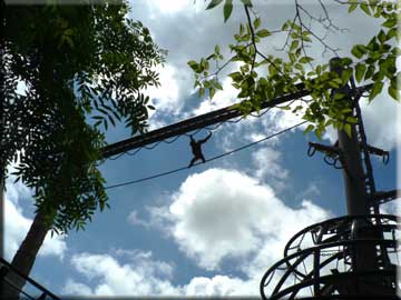 f0083977_23533832.jpg