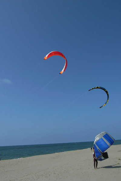 Ｃｏａｓｔ　ｏｆ　Ｒｏｕｇｈ　Ｓｅａ_e0082981_21511856.jpg