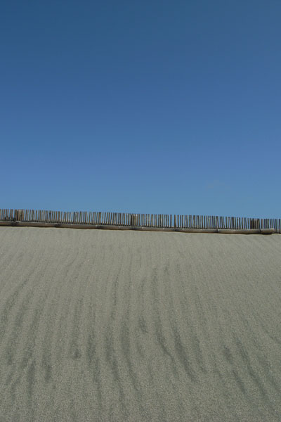 Ｃｏａｓｔ　ｏｆ　Ｒｏｕｇｈ　Ｓｅａ_e0082981_21585654.jpg